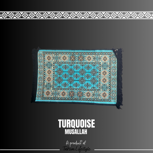Small Rug  - Traditional Turquoise